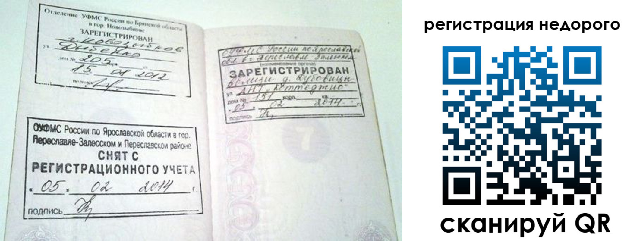 прописка поиск в Каменке